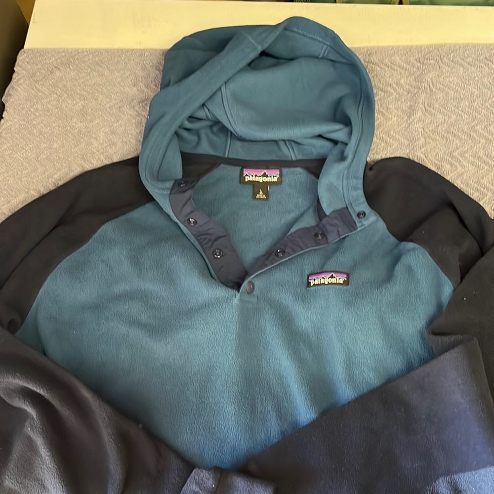Patagonia fleece hoodie
